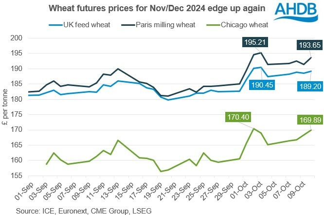 Chart in pounds per tonne showing the recent rises in UK, Paris and Chicago wheat futures